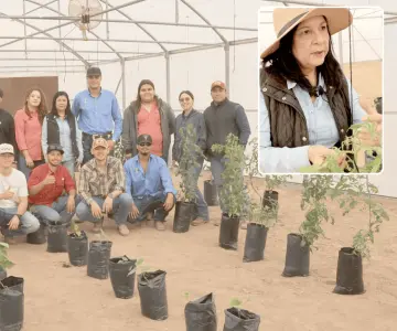 Estudiantes le apuestan a lo verde a través del cultivo de hortalizas