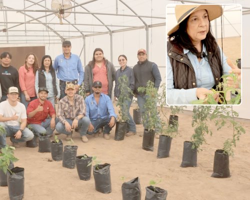 Estudiantes le apuestan a lo verde a través del cultivo de hortalizas