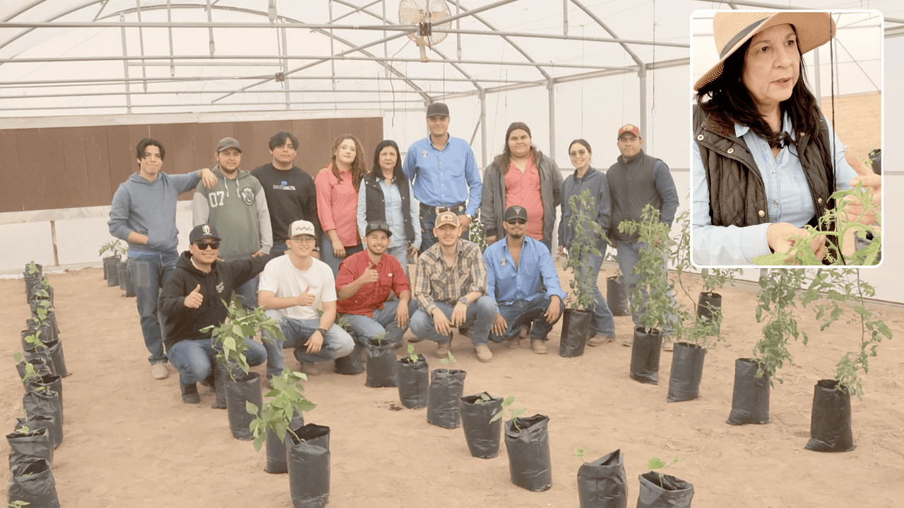 Estudiantes le apuestan a lo verde a través del cultivo de hortalizas