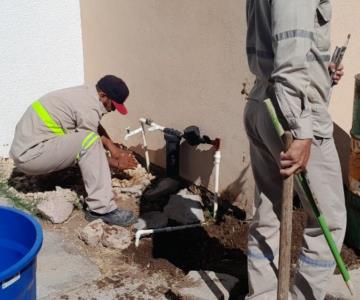 Realizan más de 800 cortes de agua a usuarios morosos de Guaymas