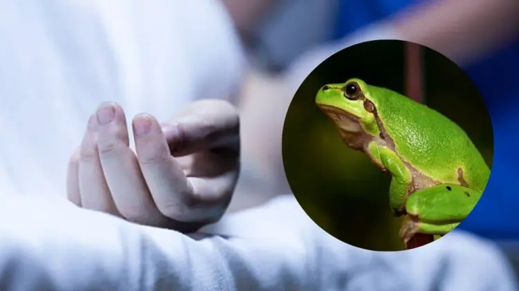 Medios de Durango informaron que la mujer bebió un veneno conocido como Kambó. (Foto: Especial)