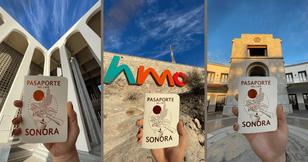 Lanzan nuevo Pasaporte de Café Sonora