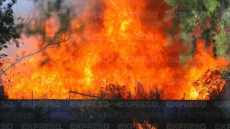 El fuego se propagó en un predio ubicado en la colonia Laura Alicia Frías. (Foto: Cristian Ruiz/EXPRESO)