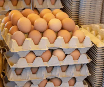 Precio del huevo baja en noviembre; Sonora es de los principales productores
