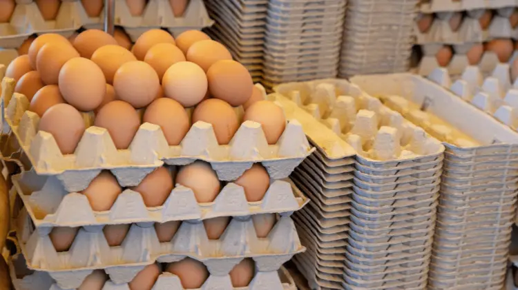 Productores, mercados y abarrotes abarataron sus precios. (Foto: Ilustrativa / EXPRESO)
