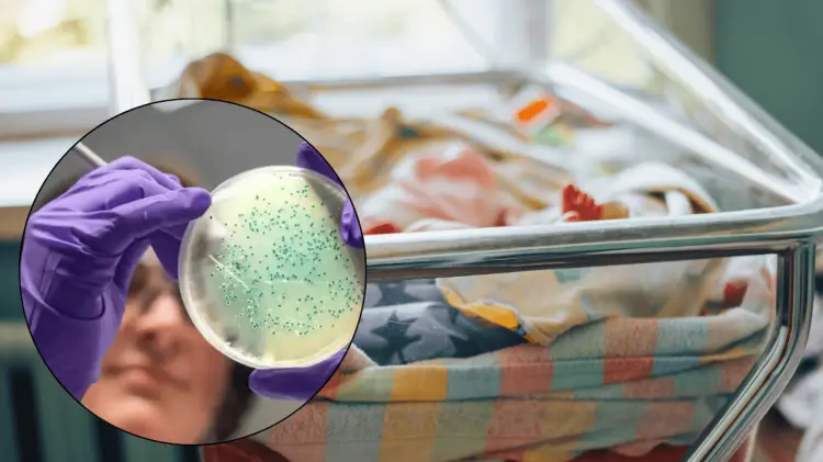 Guanajuato ha revelado los casos que han identificado de esta bacteria. (Foto: Especial/Cortesía)