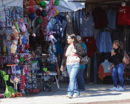 Robo hormiga, principal amenaza para comercios en Sonora: Inegi