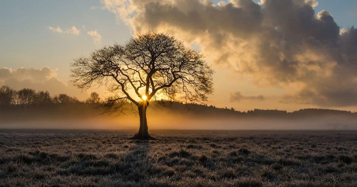 Solsticio de invierno 2024: ¿cuándo será la noche más larga del año en México?