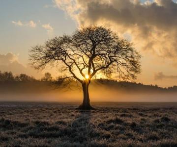 Solsticio de invierno 2024: ¿cuándo será la noche más larga del año en México?