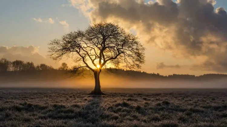 El solsticio de invierno es uno de los eventos astronómicos más importantes del año. (Foto: Especial)