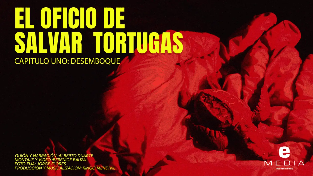 Grupo Tortuguero Comcaac: el oficio de salvar tortugas