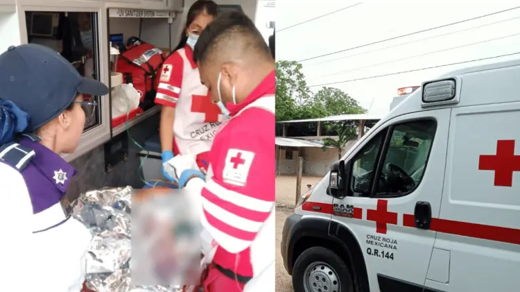 El bebé presentó hipotermia, baja glucosa y frecuencia cardiaca baja. (Especial / EXPRESO)