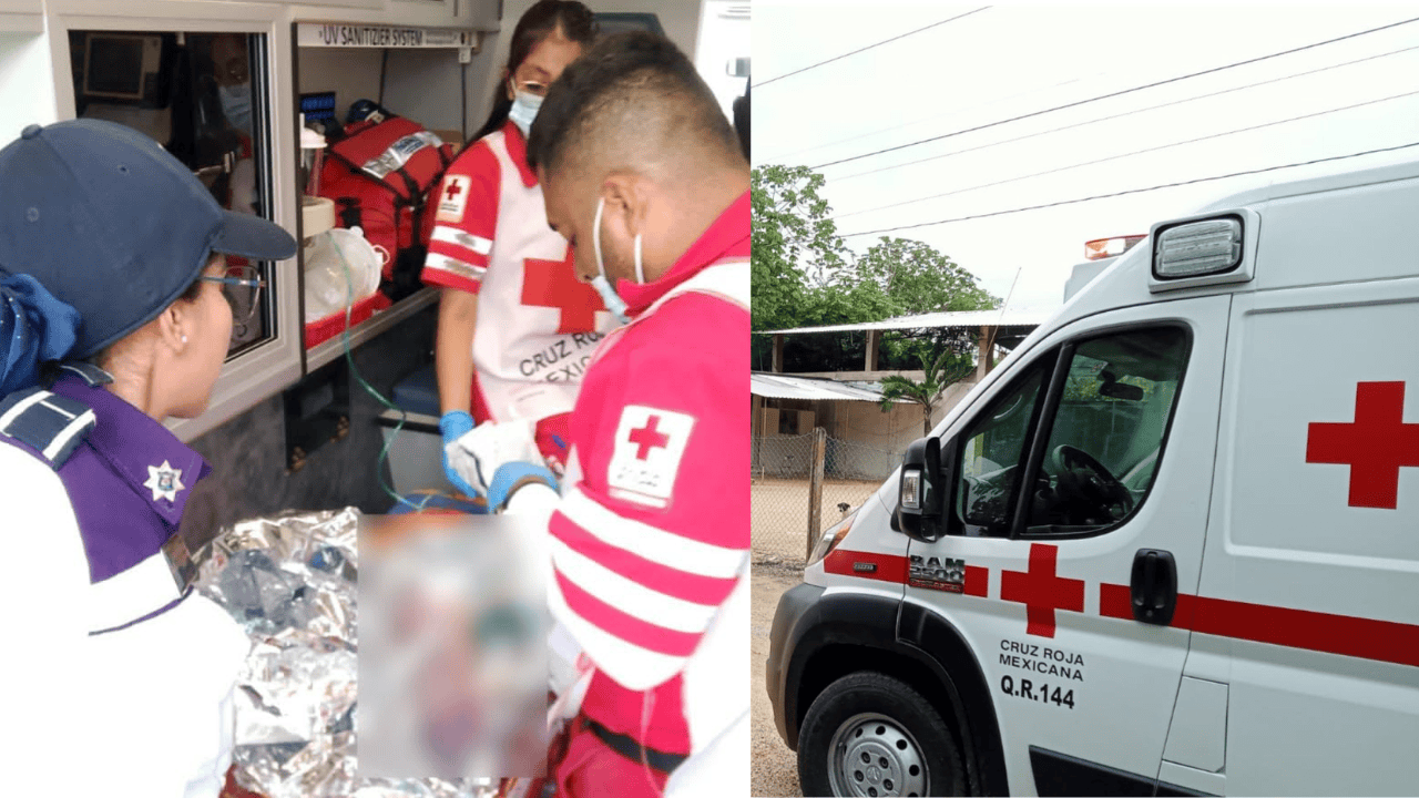 Abandonan a bebé recién nacido dentro de una mochila; es encontrado por un niño