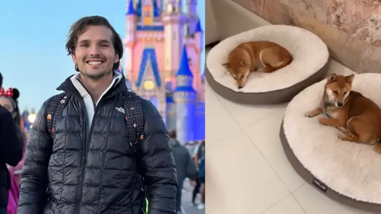 Memo Aponte subió un video a sus historias aclarando la situación sobre sus perros. (Foto: Especial)