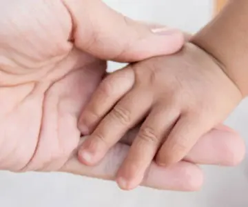 Durante 2024 se registraron 20 adopciones en Sonora