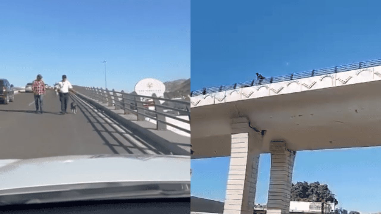 VIDEO | Rescatan a perrito en riesgo de caída en puente de Hermosillo