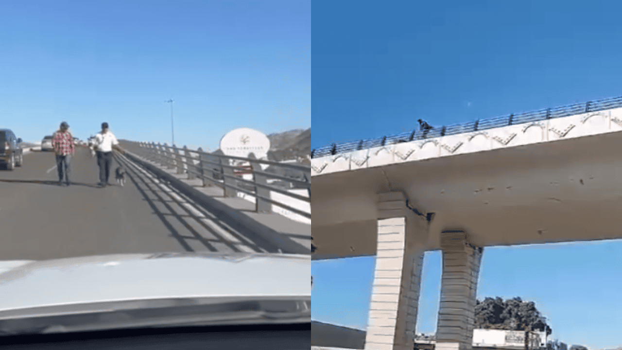 VIDEO | Rescatan a perrito en riesgo de caída en puente de Hermosillo