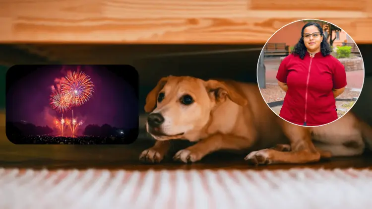 Kassandra León, estudiante de veterinaria y activista, exhorta a evitar pirotecnia. (Foto: Especial)