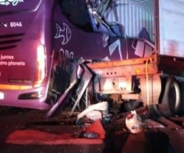 Autobús de pasajeros sufre aparatoso accidente en Veracruz; hay 7 muertos