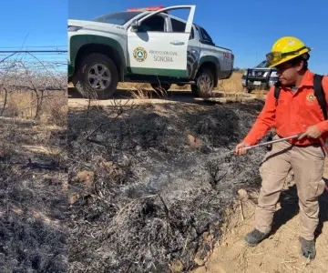 Liquidan incendio forestal en Pesqueira; dañó 32 hectáreas