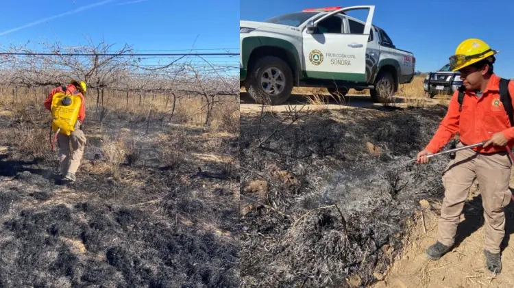 El siniestro fue sofocado al 100 por ciento, evitando daños mayores en la zona. (Foto: @cepcsonora)