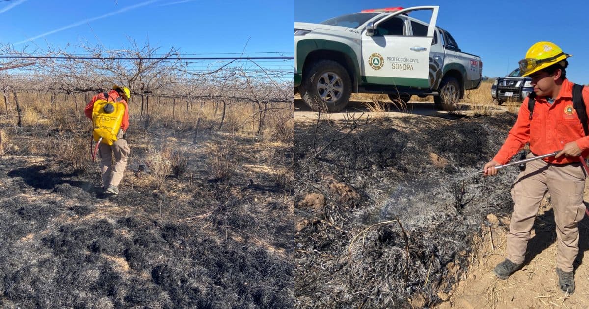 Liquidan incendio forestal en Pesqueira; dañó 32 hectáreas