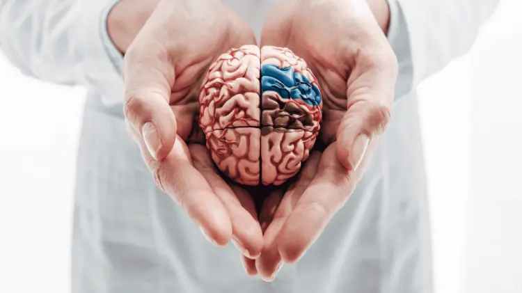 Se trata de recomendaciones que buscan beneficiar a nuestra mente. (Foto: Ilustrativa / EXPRESO)