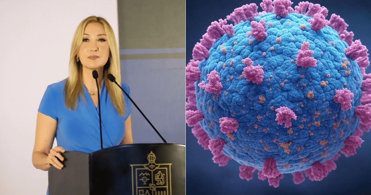 Confirman primeros casos de metapneumovirus humano en México