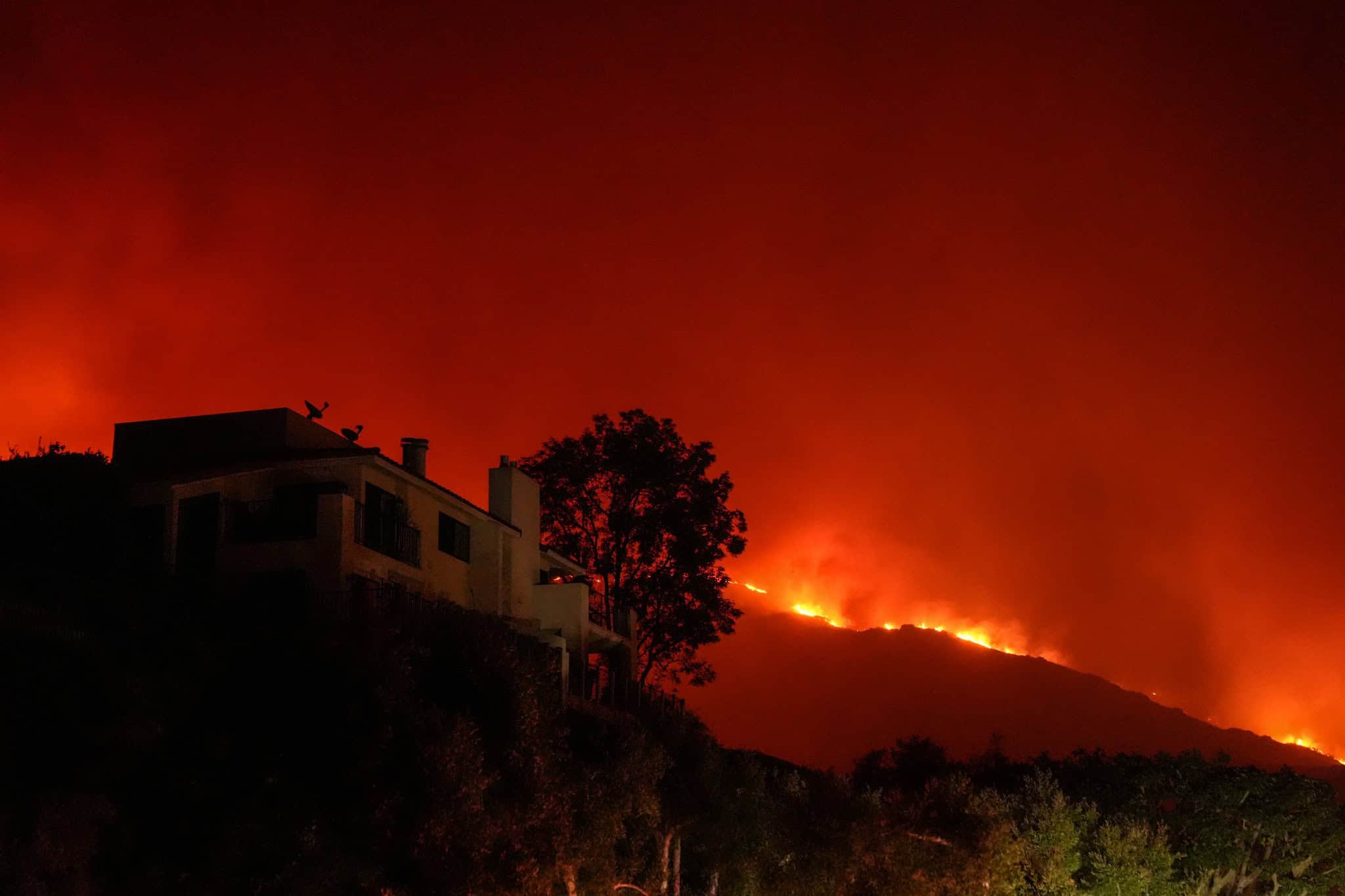 Imágenes impactantes de los incendios forestales en Los Ángeles