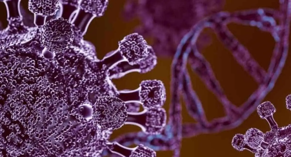 Cómo afecta la salud respiratoria el metapneumovirus humano