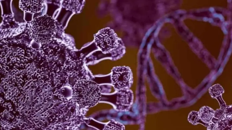 Foto: Especial / EXPRESO.