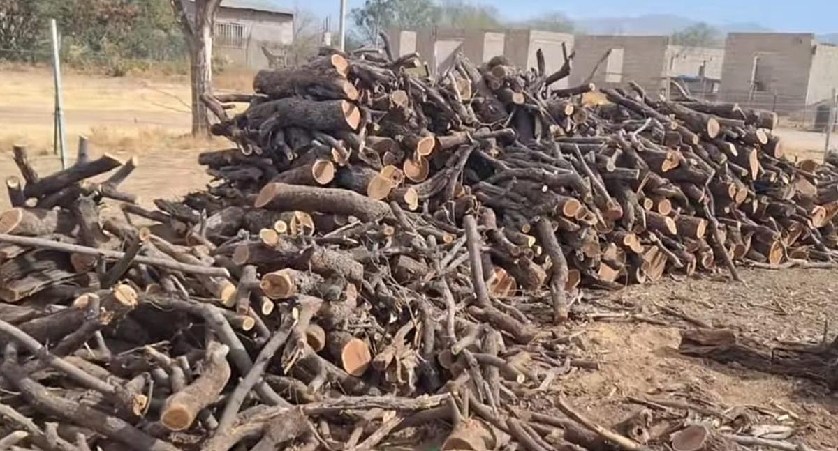 Bajas temperaturas en Nogales impulsan ventas de leña