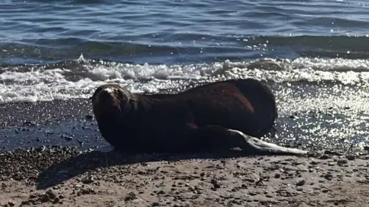 Foto: Especial / EXPRESO.