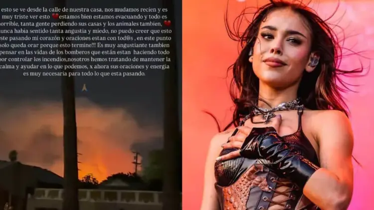 Danna subió un video del incendio desde su casa en sus historias de Instagram. (Foto: Especial)