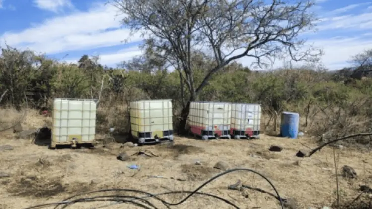 De enero a septiembre abrieron 14 carpetas de investigación por este delito. (Foto: Especial)