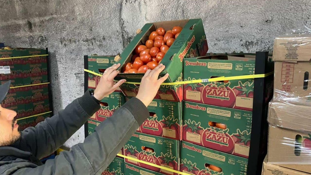 Frío pone en riesgo producción de tomate