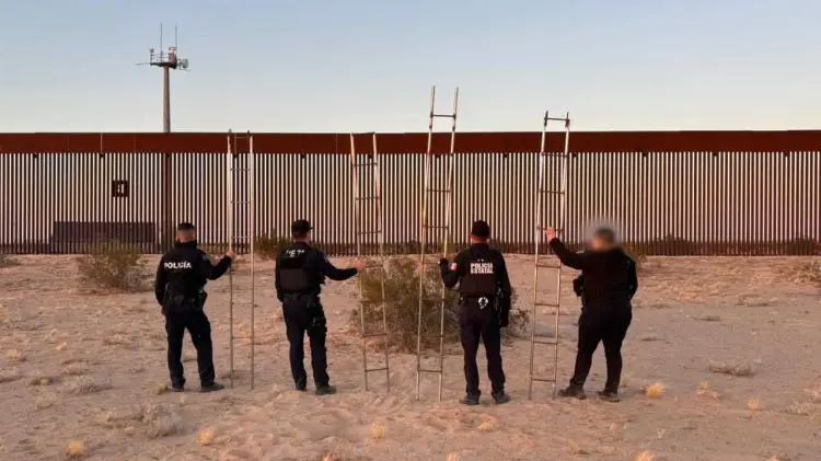 Aseguran 12 escaleras en la frontera de Sonora para evitar tráfico de personas y drogas.