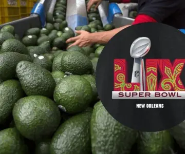 México exportará 110 mil toneladas de aguacate para el Super Bowl LIX