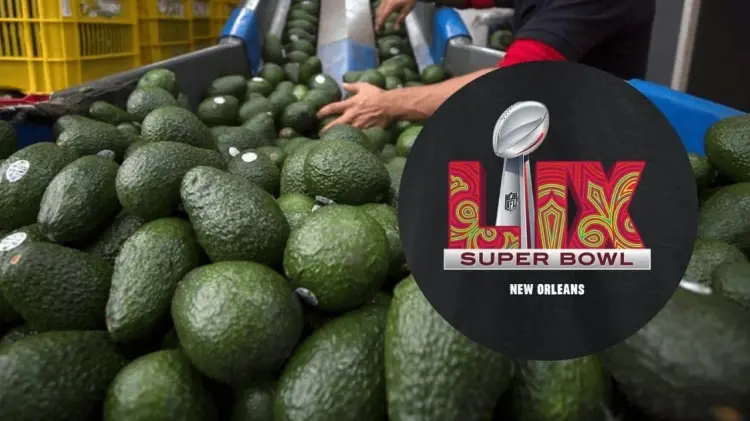 Los fanáticos acostumbran disfrutar del juego consumiendo guacamole. (Foto: Especial)