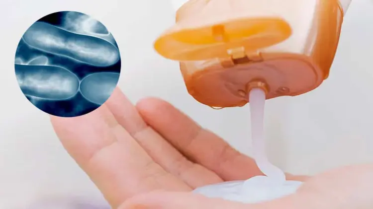 Foto: Especial / EXPRESO.