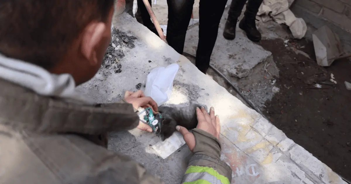 Rescatan a 2 personas y mascotas de incendio en la colonia las Amapolas