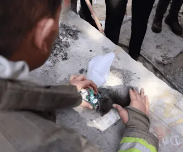 Rescatan a 2 personas y mascotas de incendio en la colonia las Amapolas
