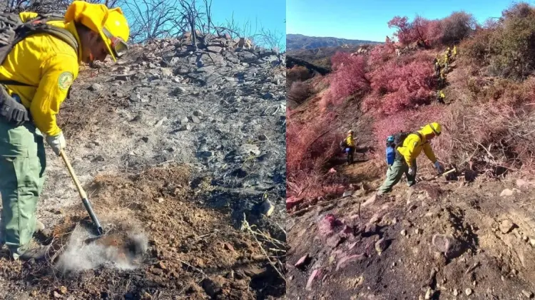 Combatientes de Conafor lograron extinguir los focos de calor la zona de Palisade. (Foto: Especial)