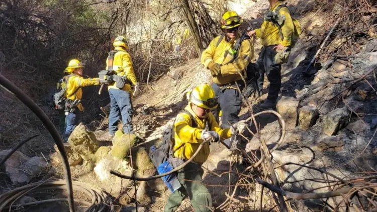 Elementos de Conafor realizan acciones para combatir el fuego. (Foto: @CONAFOR)