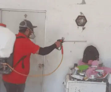 Instituto de Bienestar Animal fumigará domicilios