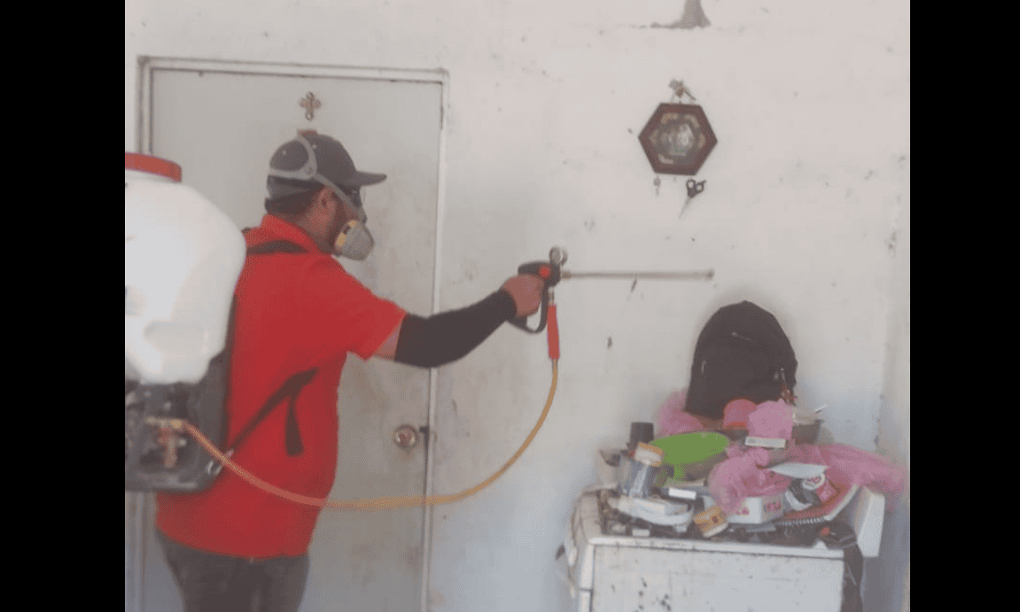 Instituto de Bienestar Animal fumigará domicilios