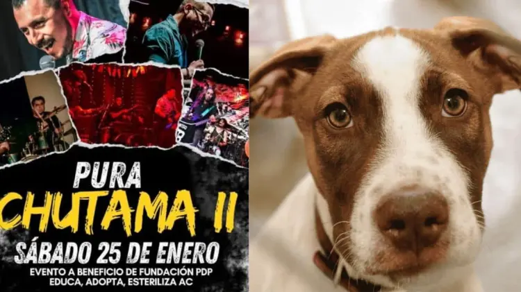 El evento se llevará cabo este sábado 25 de enero. (Foto: Especial)