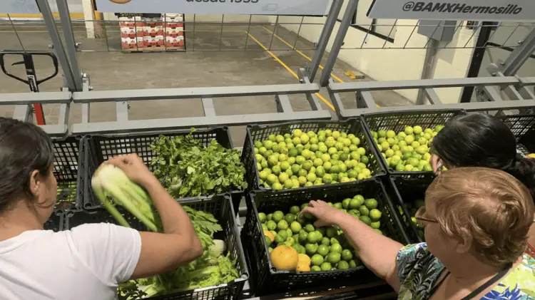 Los perfiles que eligen para ser embajadores son diversos. (Foto: Especial/EXPRESO)