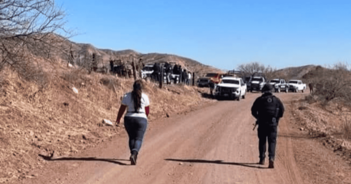 PRI propone reforma para protección de buscadoras