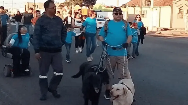 Marcharán en defensa de los derechos de los animales. Foto: Especial.